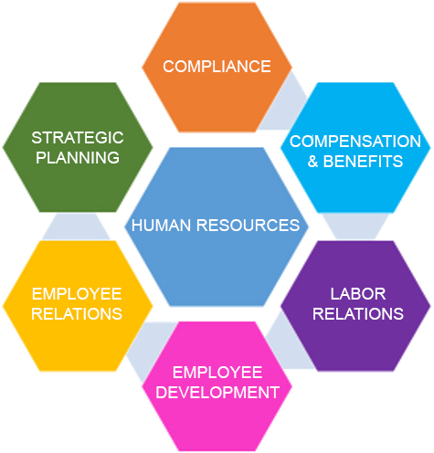 Human Resources Chart